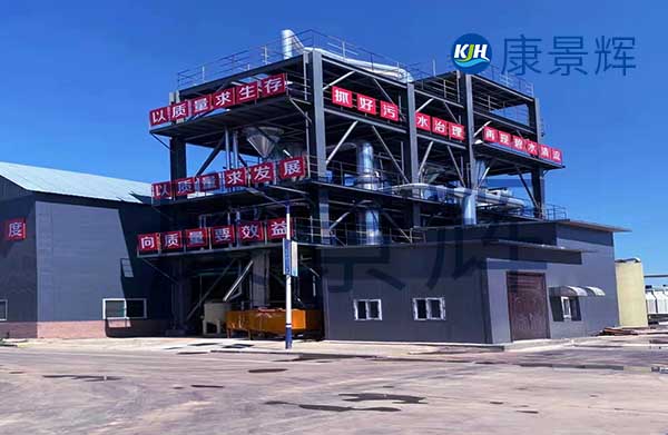 我需要采購(gòu)mvr蒸發(fā)器，能處理硫酸鈉和硫酸銨廢水，一天300噸，有哪些廠家可以推薦給我