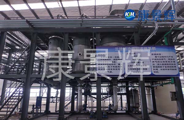 多效降膜蒸發(fā)器可以用來濃縮處理廢水，特別適合處理牛奶、淀粉、葡萄糖等食品廠廢水的加工處理中